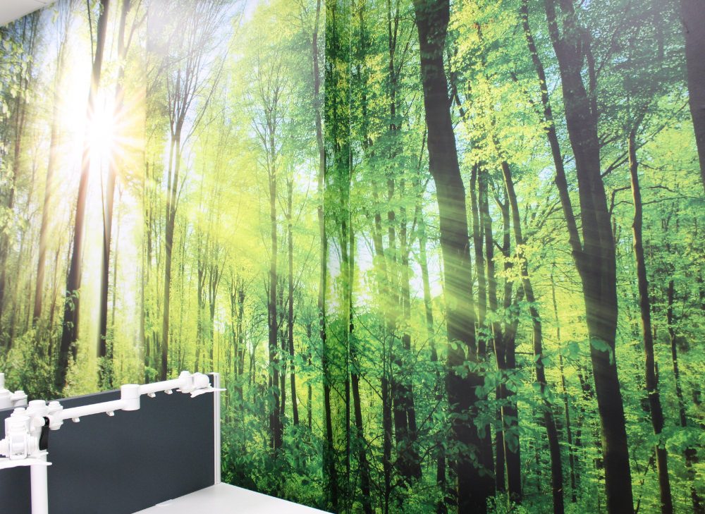 Forest Wall graphic